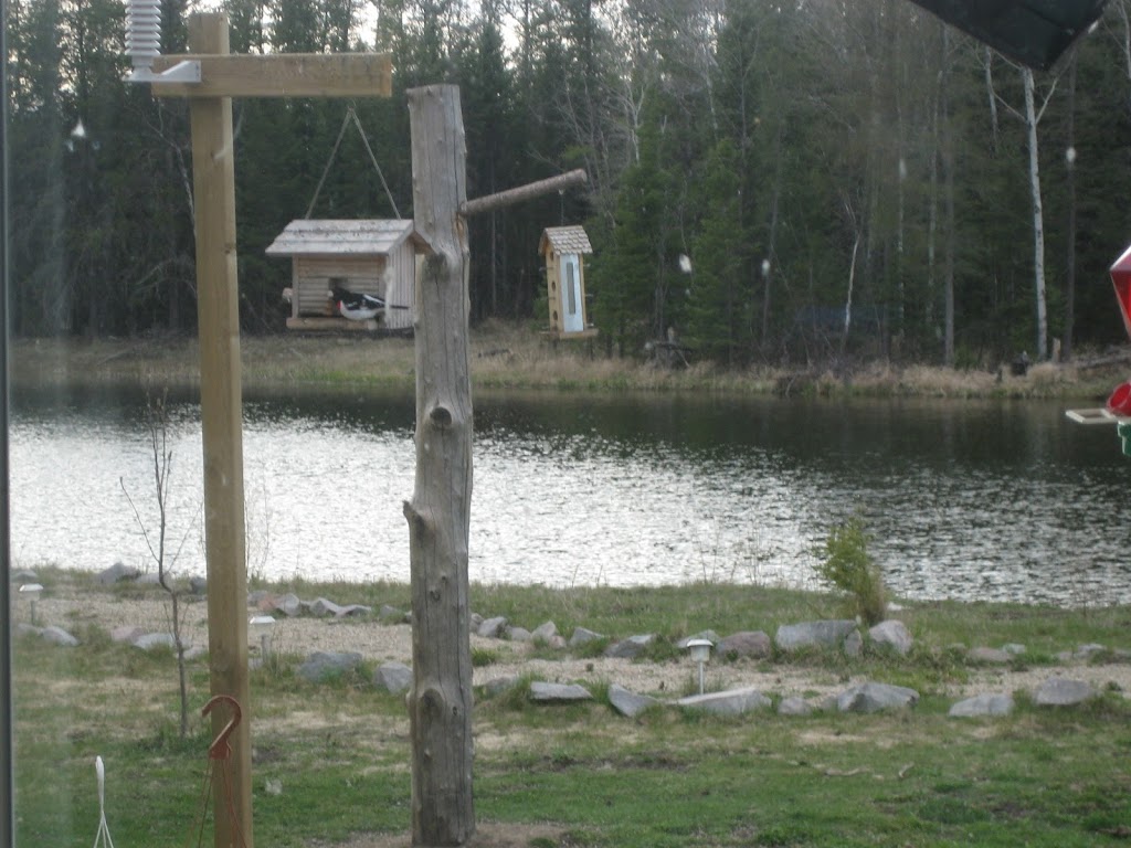 Falcon Cove RV Park | 85101 MB-1, East Braintree, MB R0E 0L0, Canada | Phone: (204) 471-1144