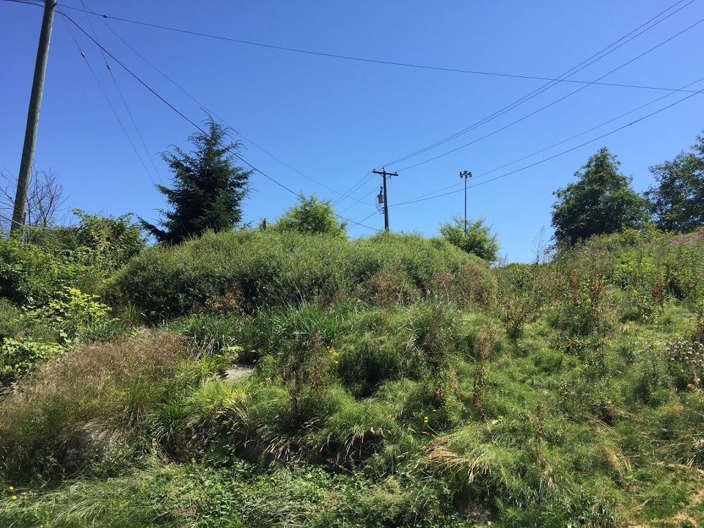 Creekway Park | 3401-3499 Bridgeway St, Vancouver, BC V5K 1H9, Canada | Phone: (604) 873-7000