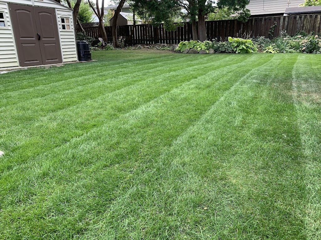 Payson Estate Maintenance | 28 Widdicomb Crescent, London, ON N6K 3C1, Canada | Phone: (519) 657-6391