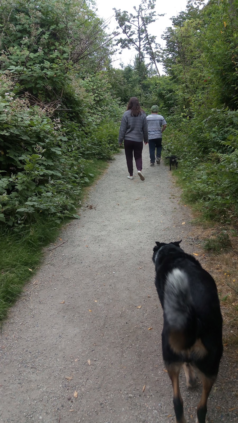 Freedom Dog Park | 8398 154a St #8382, Surrey, BC V3S 4P1, Canada | Phone: (604) 501-5050