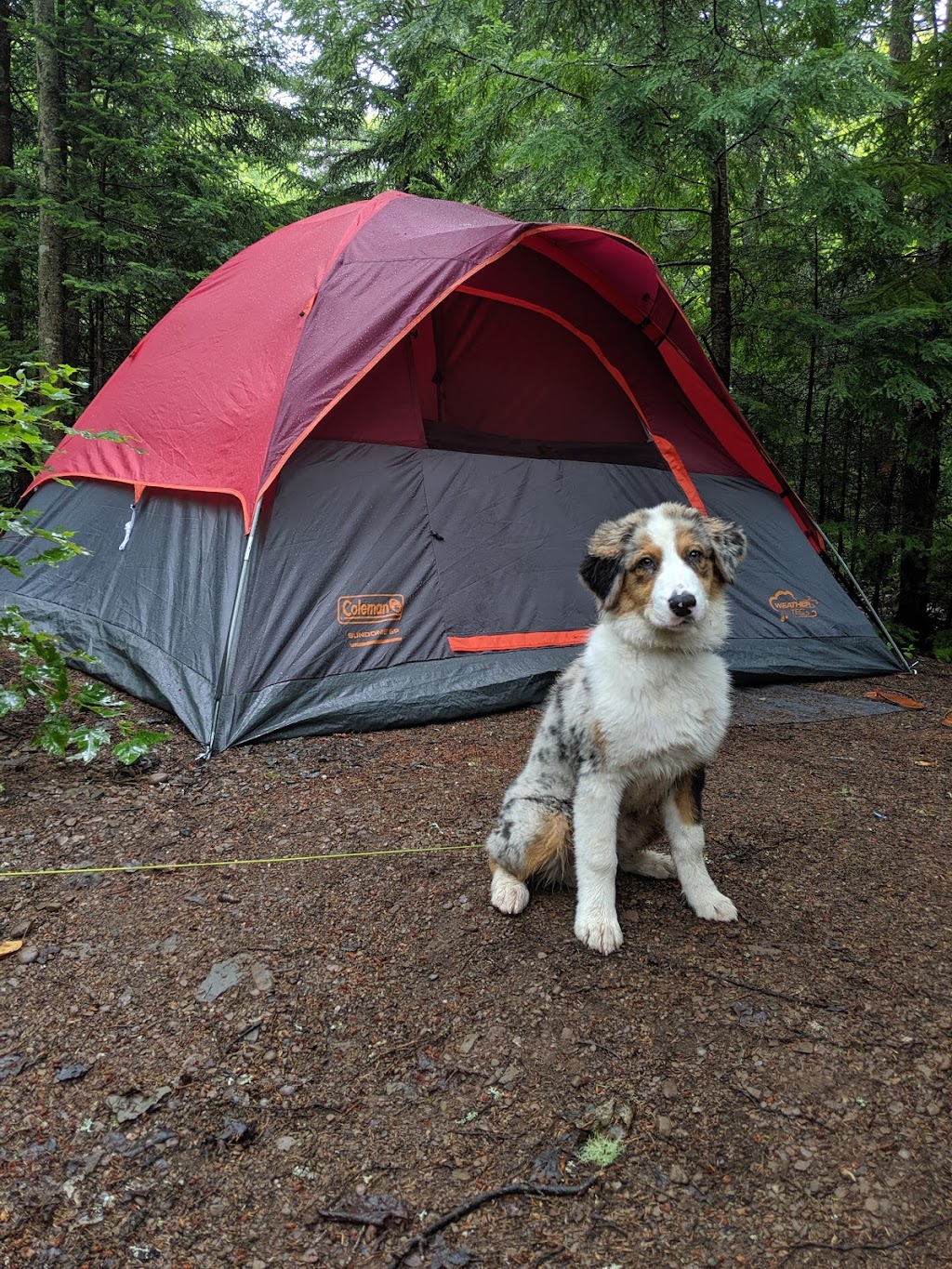 Lakeside Campground | 5913 NB-105, Mill Cove, NB E4C 3B2, Canada | Phone: (506) 488-2321