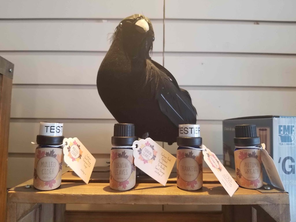 Vital Village Metaphysical Shoppe | 960 St Marys Rd, Winnipeg, MB R2M 3R8, Canada | Phone: (204) 253-2356