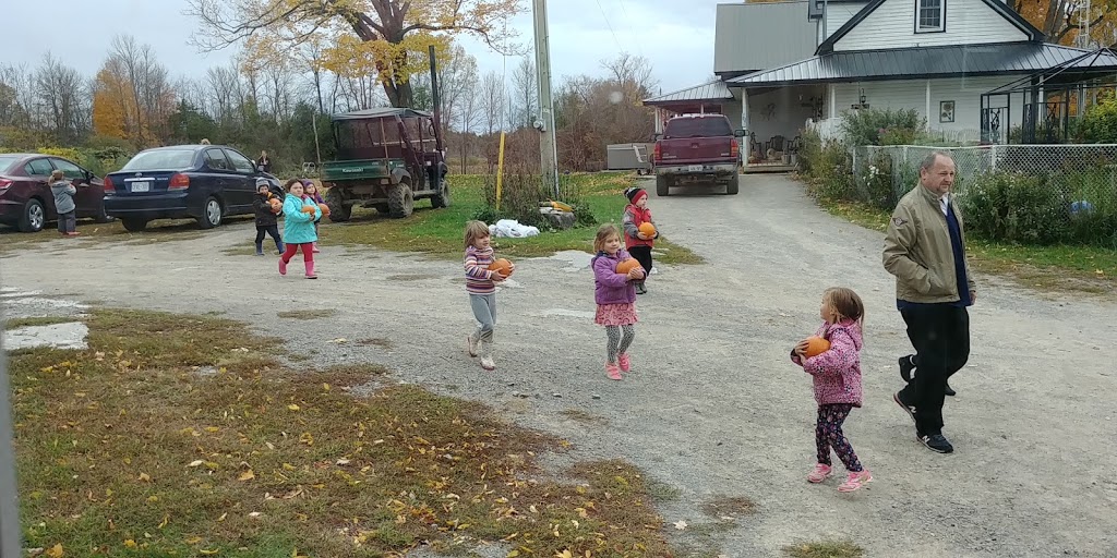 Edgewood Farms | 7602 Seventh Concession Rd, Addison, ON K0E 1A0, Canada | Phone: (613) 345-7894