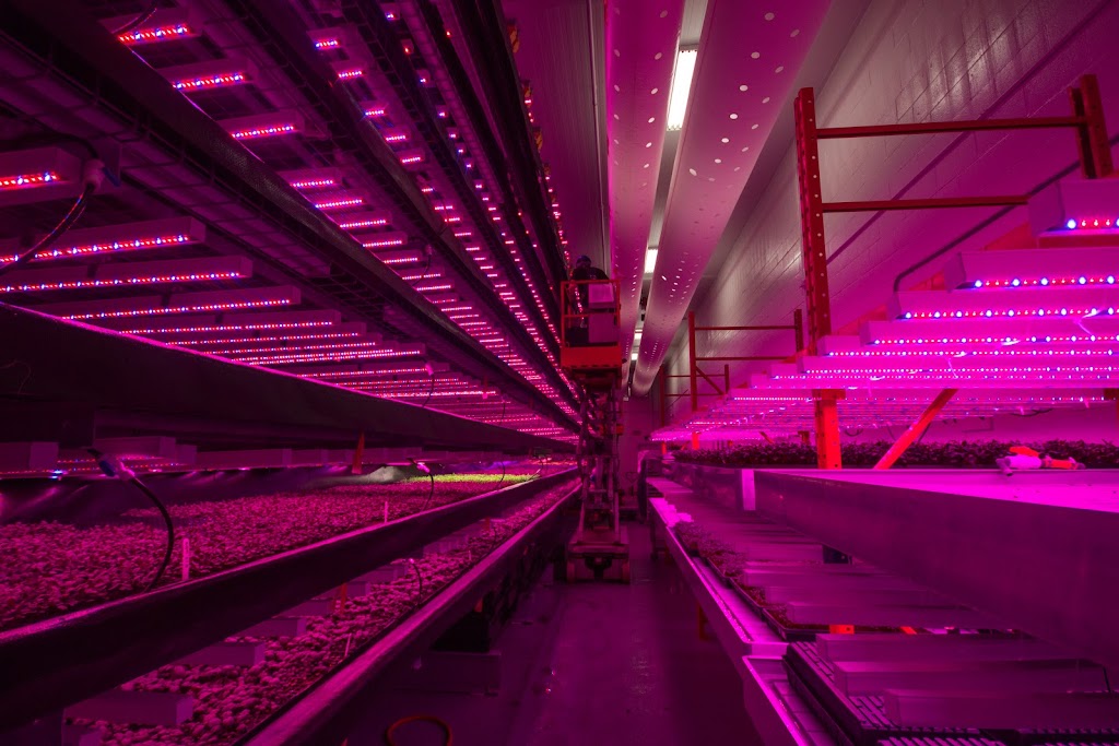 GoodLeaf Farms | 90 Research Dr, Bible Hill, NS B6L 2R2, Canada | Phone: (800) 489-0087