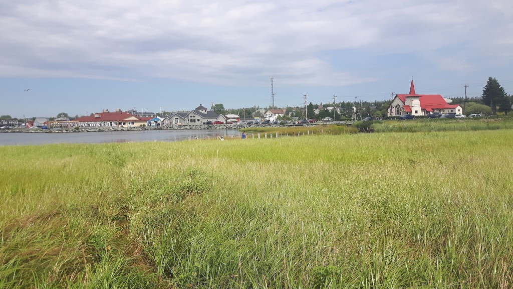 Fishermans Cove | 4 Government Wharf Rd, Eastern Passage, NS B3G 1M7, Canada | Phone: (902) 465-6093