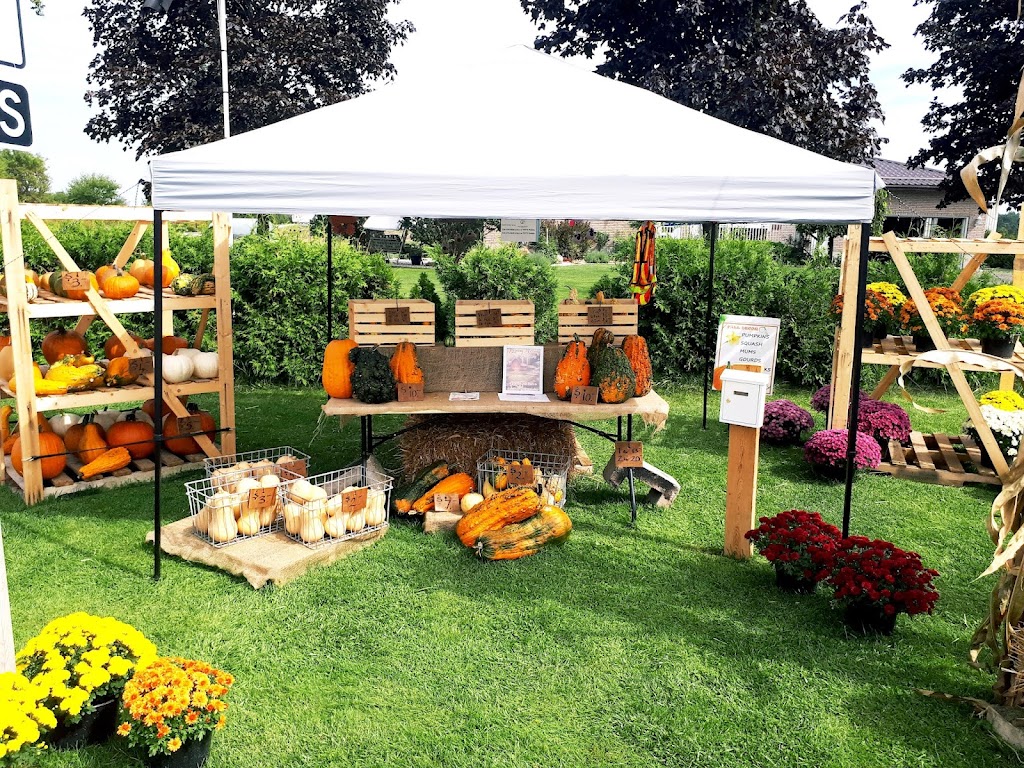 Willow Creek Gardens | 292162 Culloden Line, Brownsville, ON N0L 1C0, Canada | Phone: (226) 374-4646