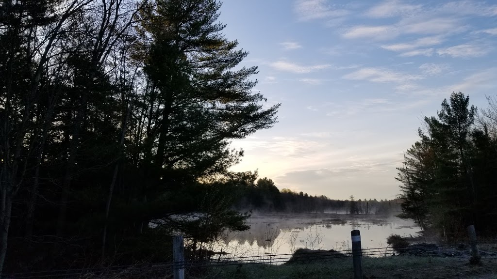 Church of Our Lady Southwood | 3500 Southwood Rd, Gravenhurst, ON P1P 1R2, Canada