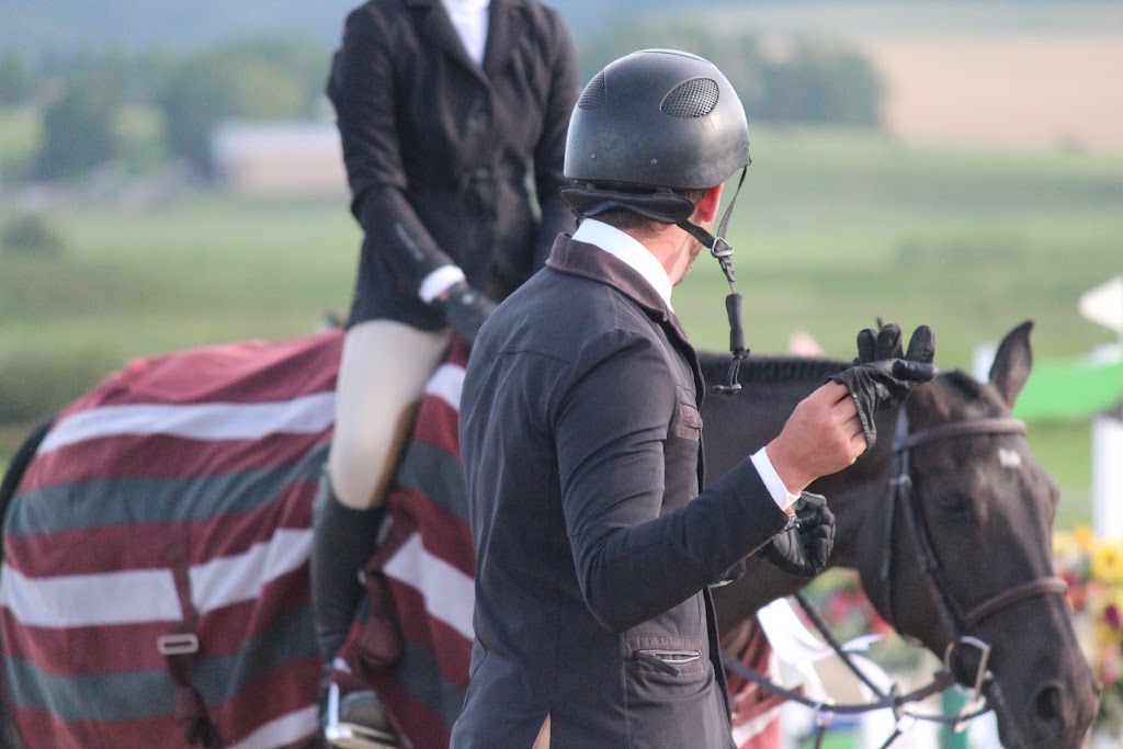 Benchmark Equestrian | 226039 88 St E, De Winton, AB T0L 0X0, Canada | Phone: (403) 397-0680