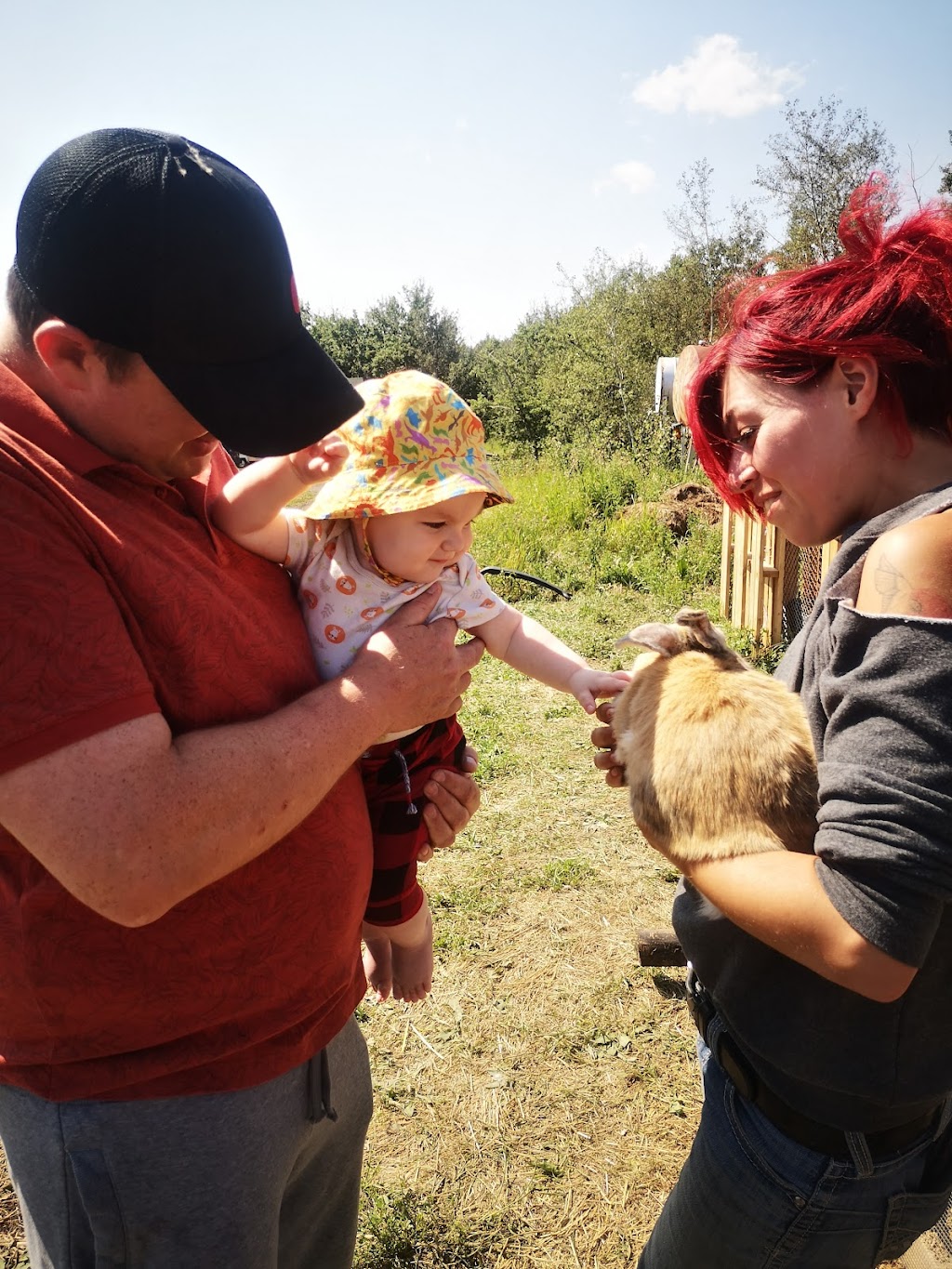Fields Like Home Petting Zoo Centre | 51315, Range Rd 201, AB T0B 4J1, Canada | Phone: (780) 920-6304