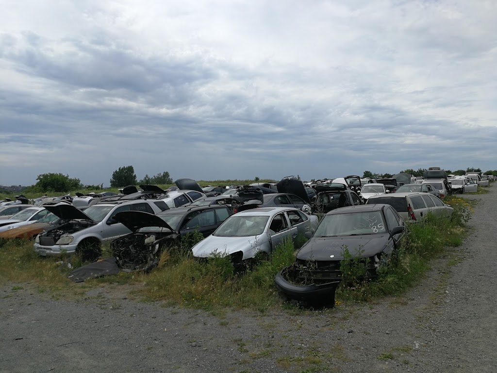 Parts 4 Less U Pull | 1598 Baseline Rd W, Courtice, ON L1E 2S5, Canada | Phone: (905) 434-1437