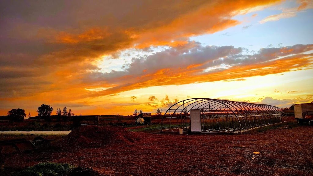 Les Jardins Alexandrins Inc. | 1410 Mnt Lacroix, Le Haut-Richelieu, QC J0J 1S0, Canada | Phone: (514) 609-7257