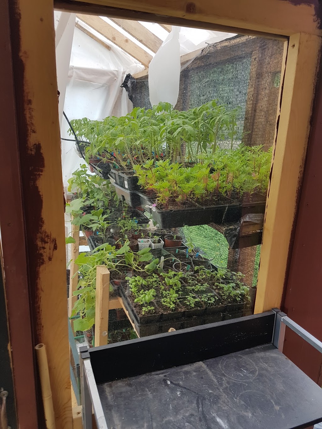 FRIIS FARM | 505 Robinson Rd, Edgewood, BC V0G 1J0, Canada | Phone: (403) 601-1010