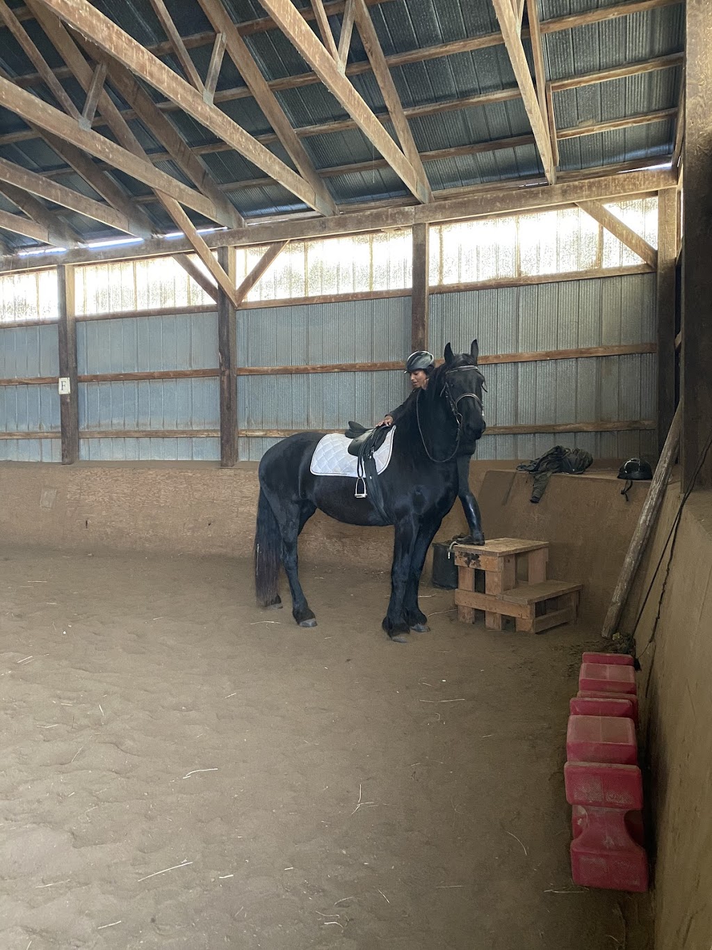Royal Friesian Farm | 15010 Dufferin St, King City, ON L7B 1K5, Canada | Phone: (647) 773-6843