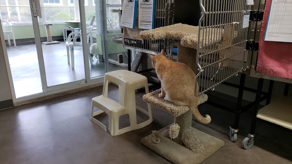 BC SPCA Sunshine Coast Community Animal Centre | 4376 Solar Rd, Sechelt, BC V7Z 0A8, Canada | Phone: (604) 740-0301