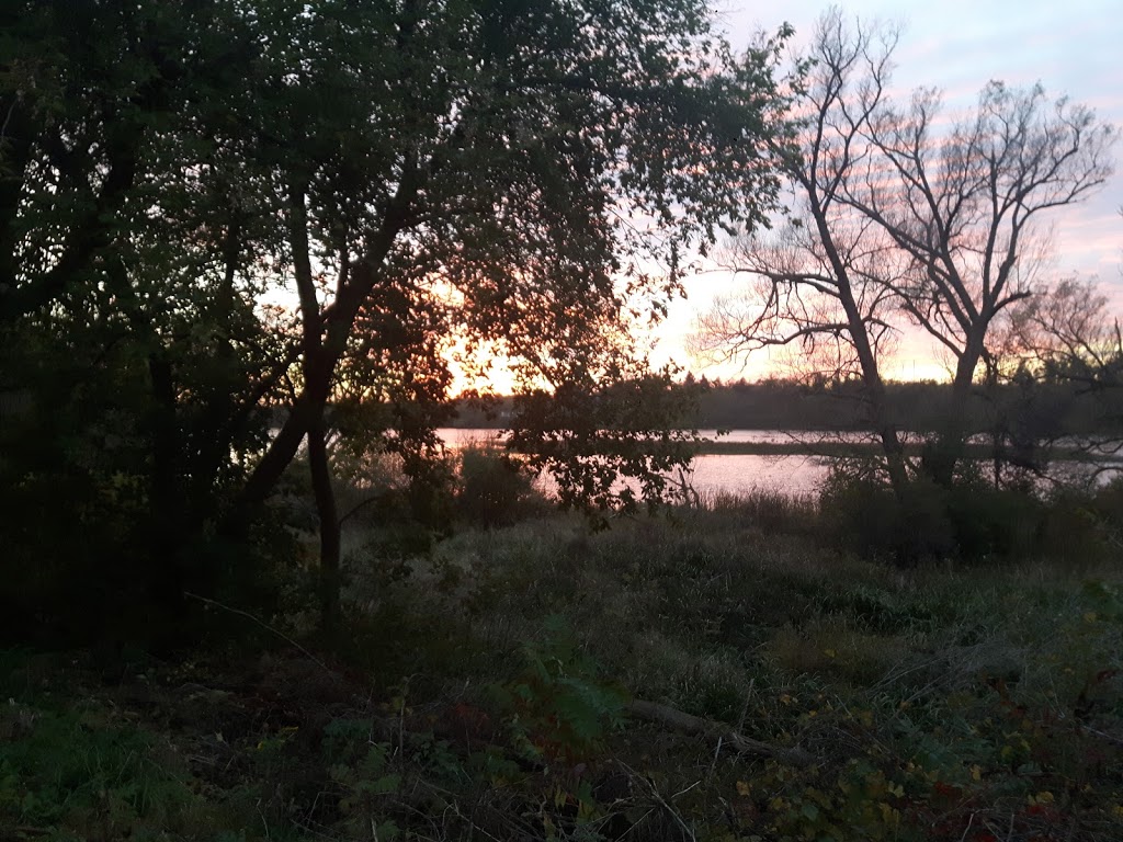 Ellacott Lookout | 235 Queen St E, Cambridge, ON N3C 2B5, Canada