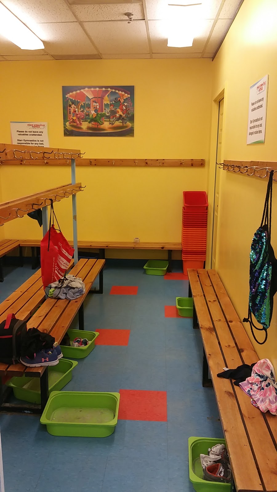 Starr Gymnastics and Fitness | 1140 Morrison Dr, Ottawa, ON K2H 8S9, Canada | Phone: (613) 721-4868