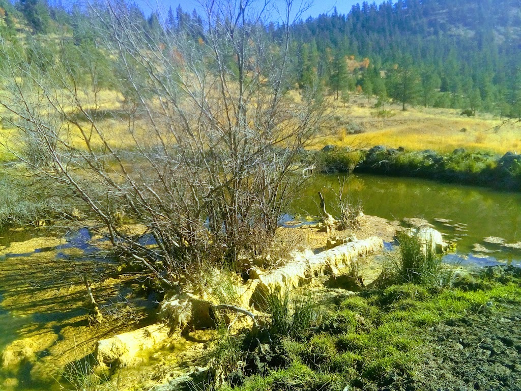 Ashcroft Legacy Park Campground | 102 Railway Ave, Ashcroft, BC V0K 1A0, Canada | Phone: (250) 453-2642