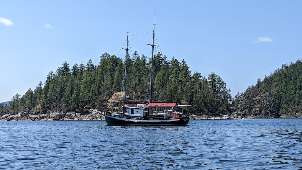 Misty Isles Adventures | Cortes Island, 1425 Carrington Bay Rd, Whaletown, BC V0P 1Z0, Canada | Phone: (250) 935-6756