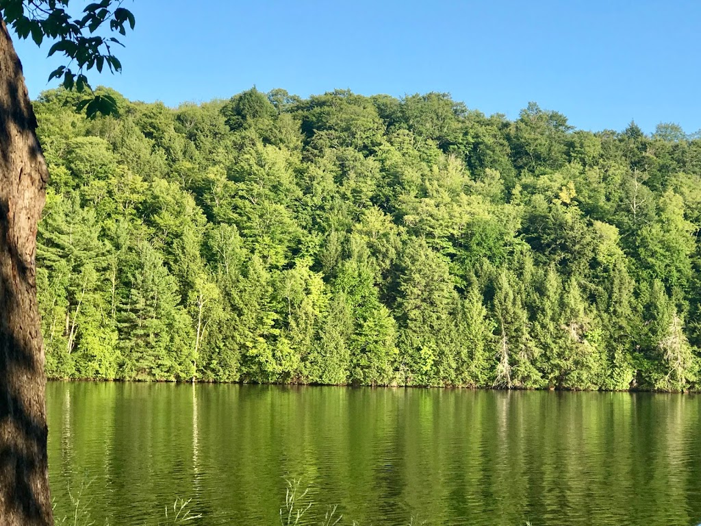 Burnstown Beach | Burnstown Beach, 1537 Calabogie Rd, Renfrew, ON K7V 3Z4, Canada | Phone: (613) 623-5756
