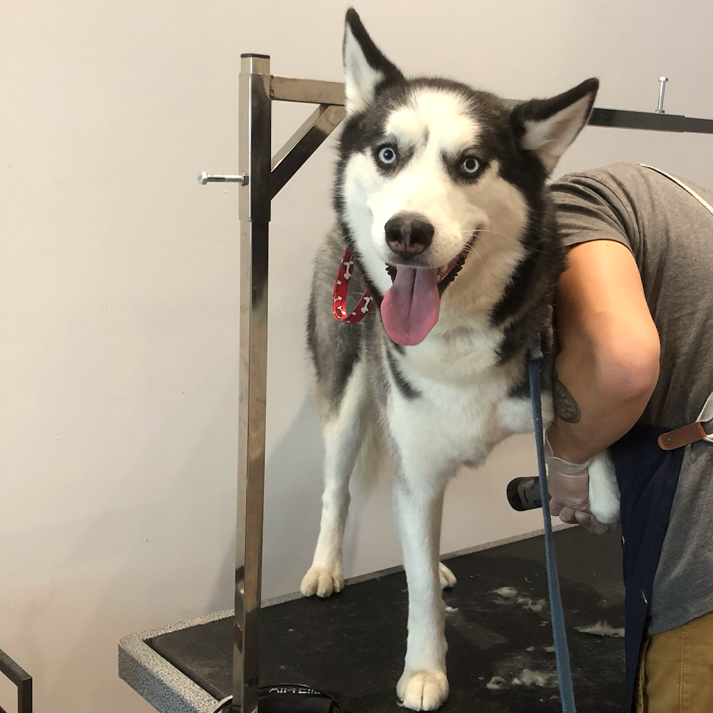 Juicepet | 330 McClellan Way, Aurora, ON L4G 2X8, Canada | Phone: (647) 609-7028