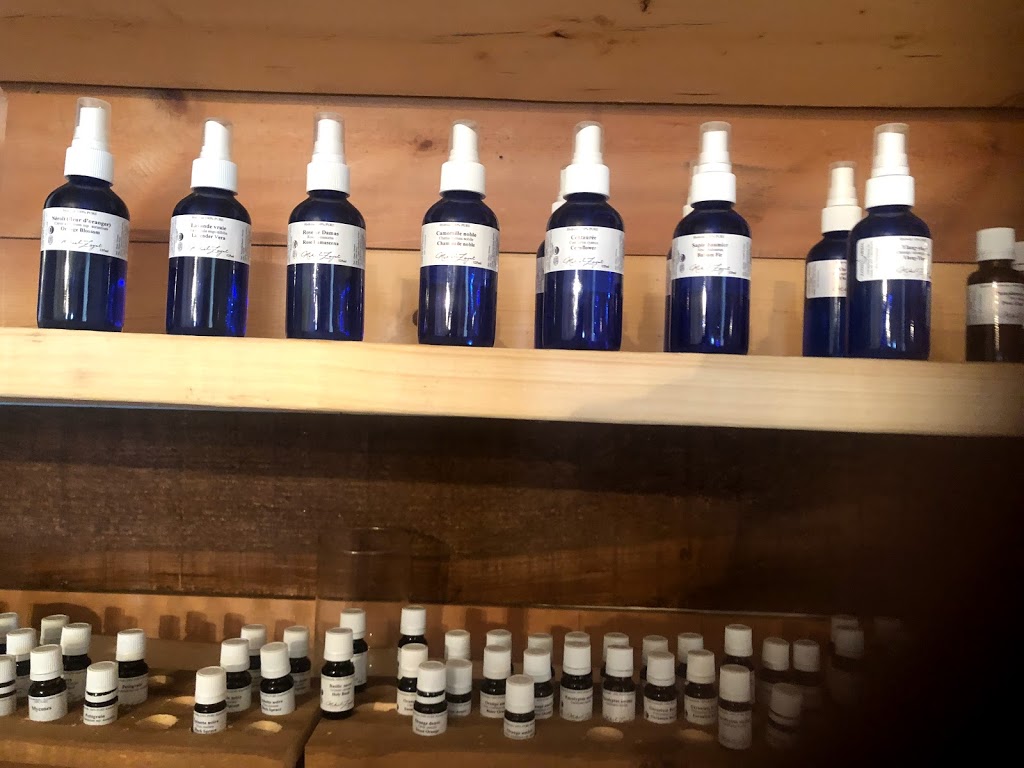 Centre de Santé Équilibre de vie | 317 Rue Racine, Granby, QC J2M 1R5, Canada | Phone: (450) 775-4215