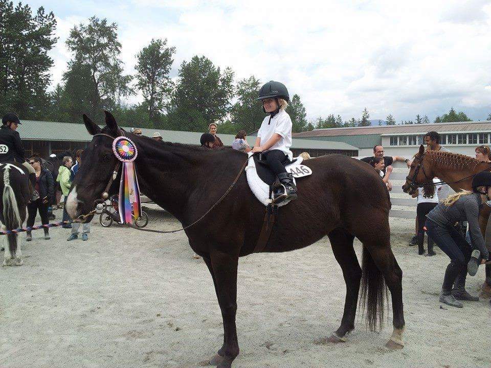 Pemberley Riding School | 21281 128 Ave, Maple Ridge, BC V4R 2N1, Canada | Phone: (604) 836-7522