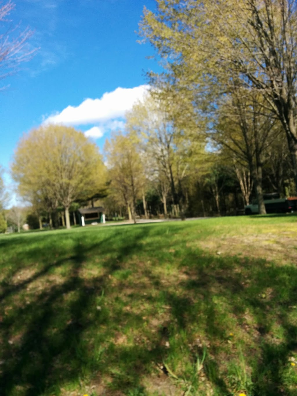 Lawrencess Lawn Care Ltd | 1353 Balfour St, Fenwick, ON L0S 1C0, Canada | Phone: (905) 892-5668