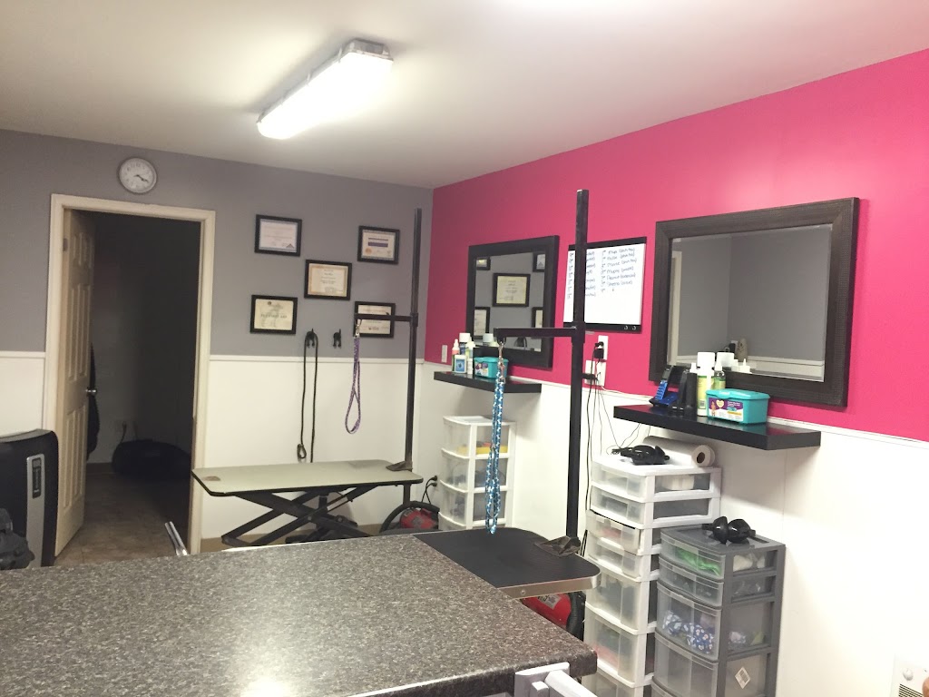 Ruff Cuts Pet Grooming by Lisa - Listowel | 5987 David St, Listowel, ON N4W 0C5, Canada | Phone: (519) 418-3647
