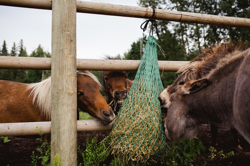 NAG Bags - Slow Hay Feeders | 600 Similkameen Ave, Princeton, BC V0X 1W0, Canada | Phone: (250) 295-5052