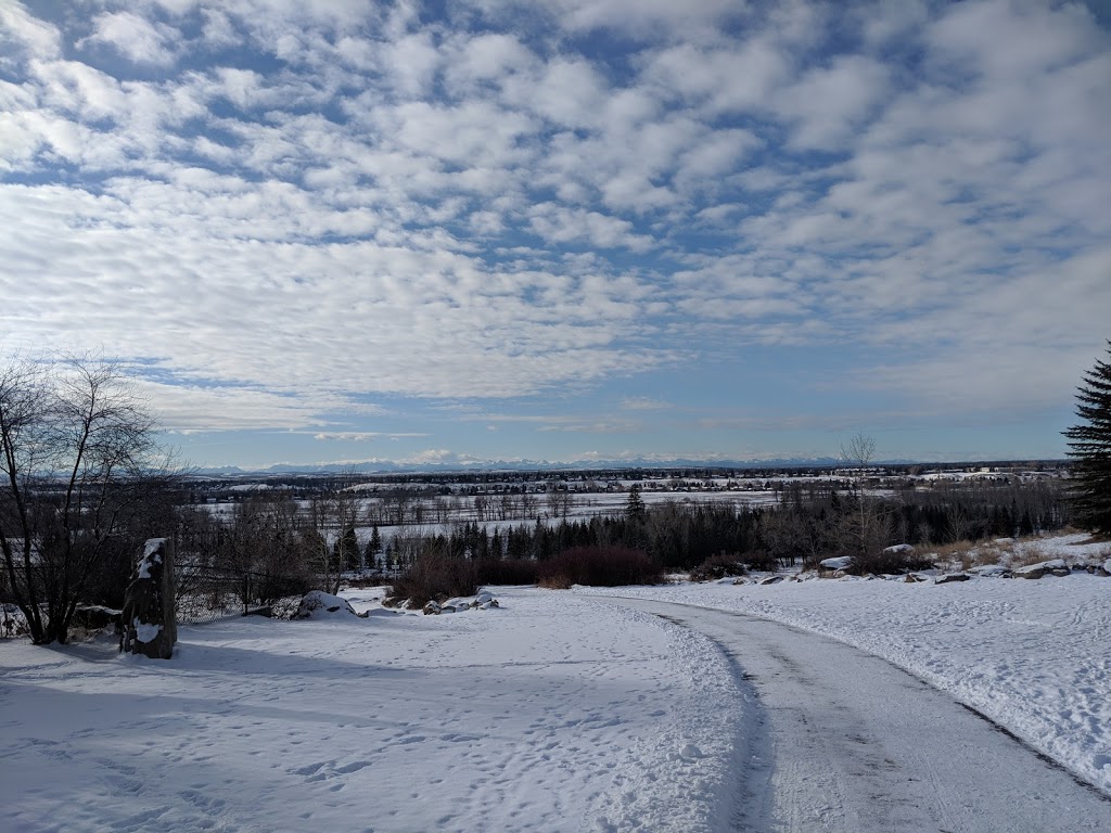Douglasbank Park | 2191 Douglasbank Crescent SE, Calgary, AB T2Z 2J4, Canada