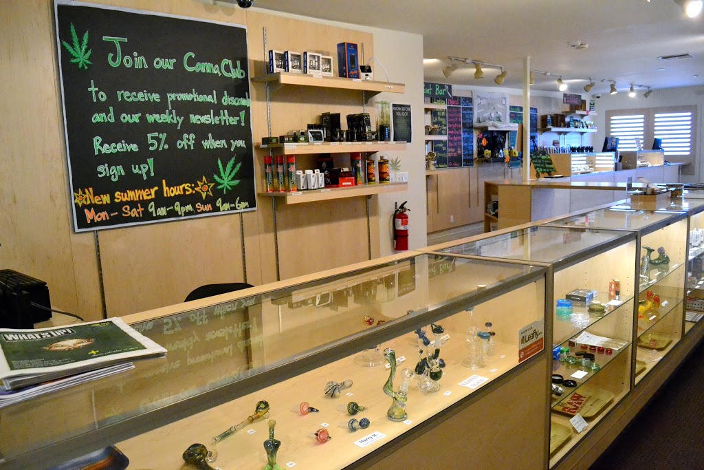 West Coast Wellness | 3708 Mt Baker Hwy, Everson, WA 98247, USA | Phone: (360) 392-8309