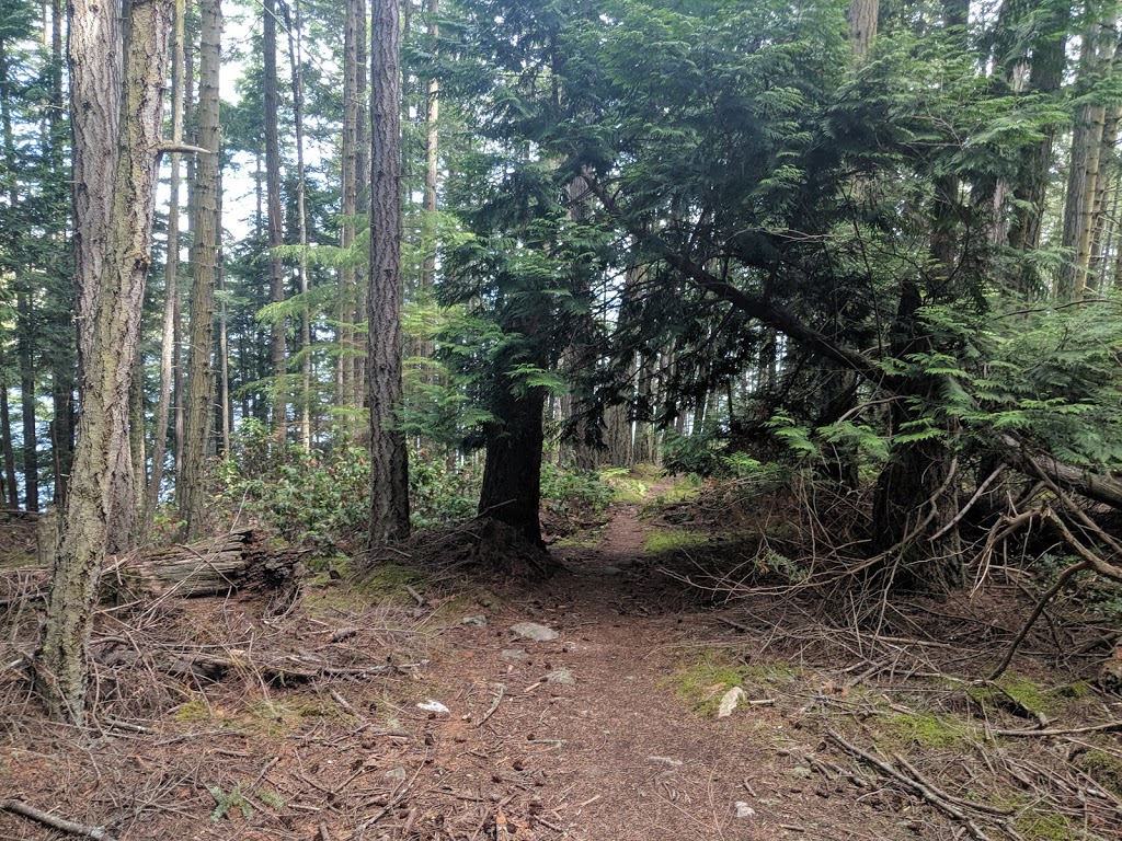 Watmough Bay | 1045 Watmough Head Rd, Lopez Island, WA 98261, USA