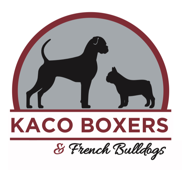 Kaco Boxers Regd | 1221 Killarney Bay Rd, Cameron, ON K0M 1G0, Canada | Phone: (705) 887-9362
