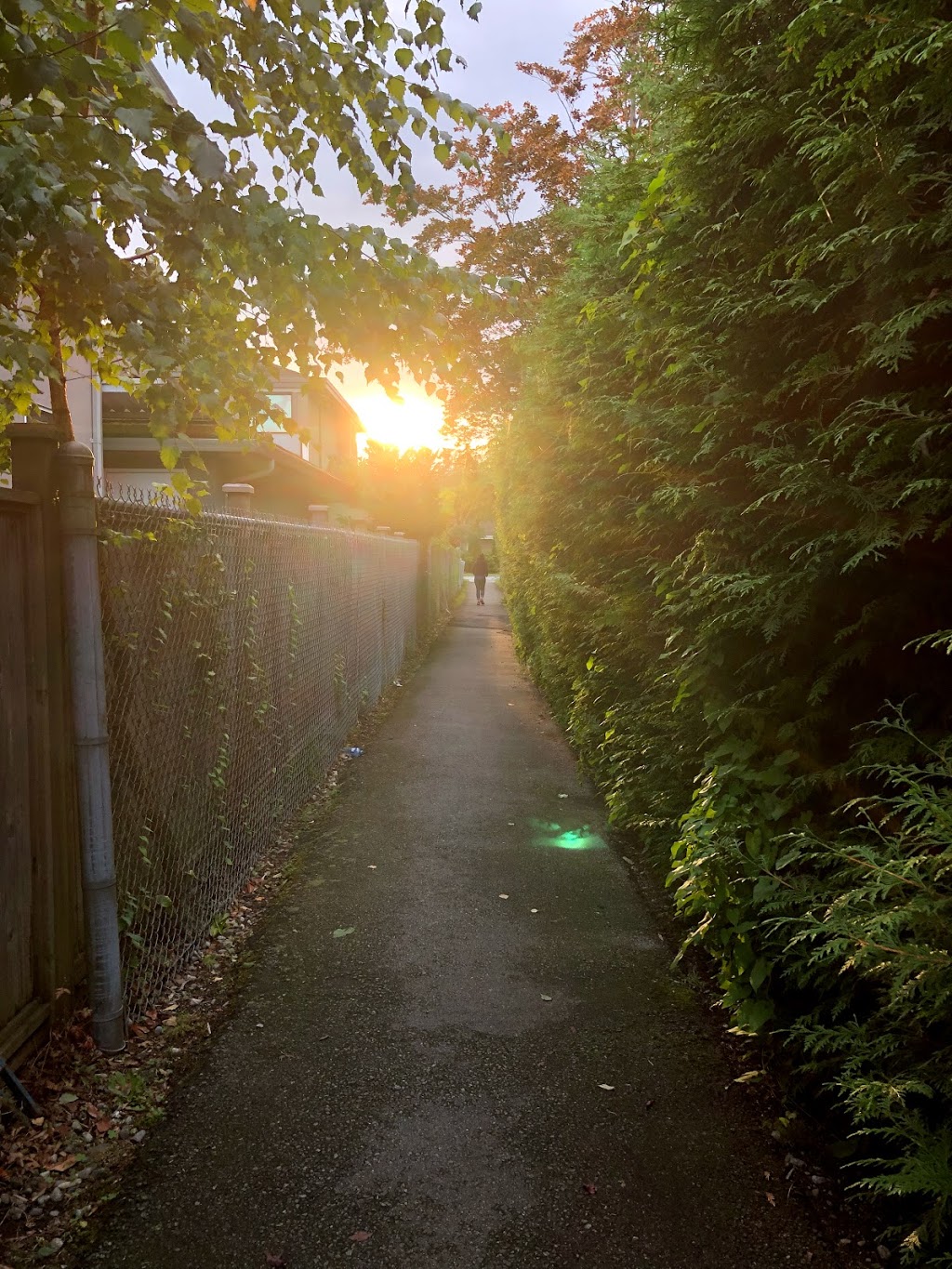 The Stone Hedge Bed and Breakfast | 5511 Cathay Rd, Richmond, BC V7C 3C9, Canada | Phone: (604) 274-1070