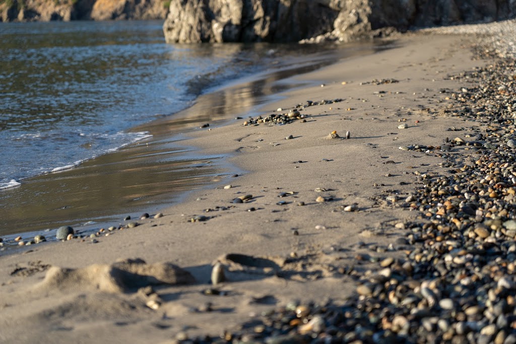 Pacific NW Trail | Pacific NW Trail, Oak Harbor, WA 98277, USA