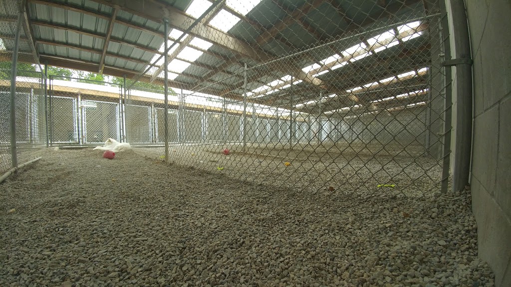 Redwood Pet Resort | 7594 Auburn Rd, Milton, ON L9E 0T7, Canada | Phone: (905) 878-9410