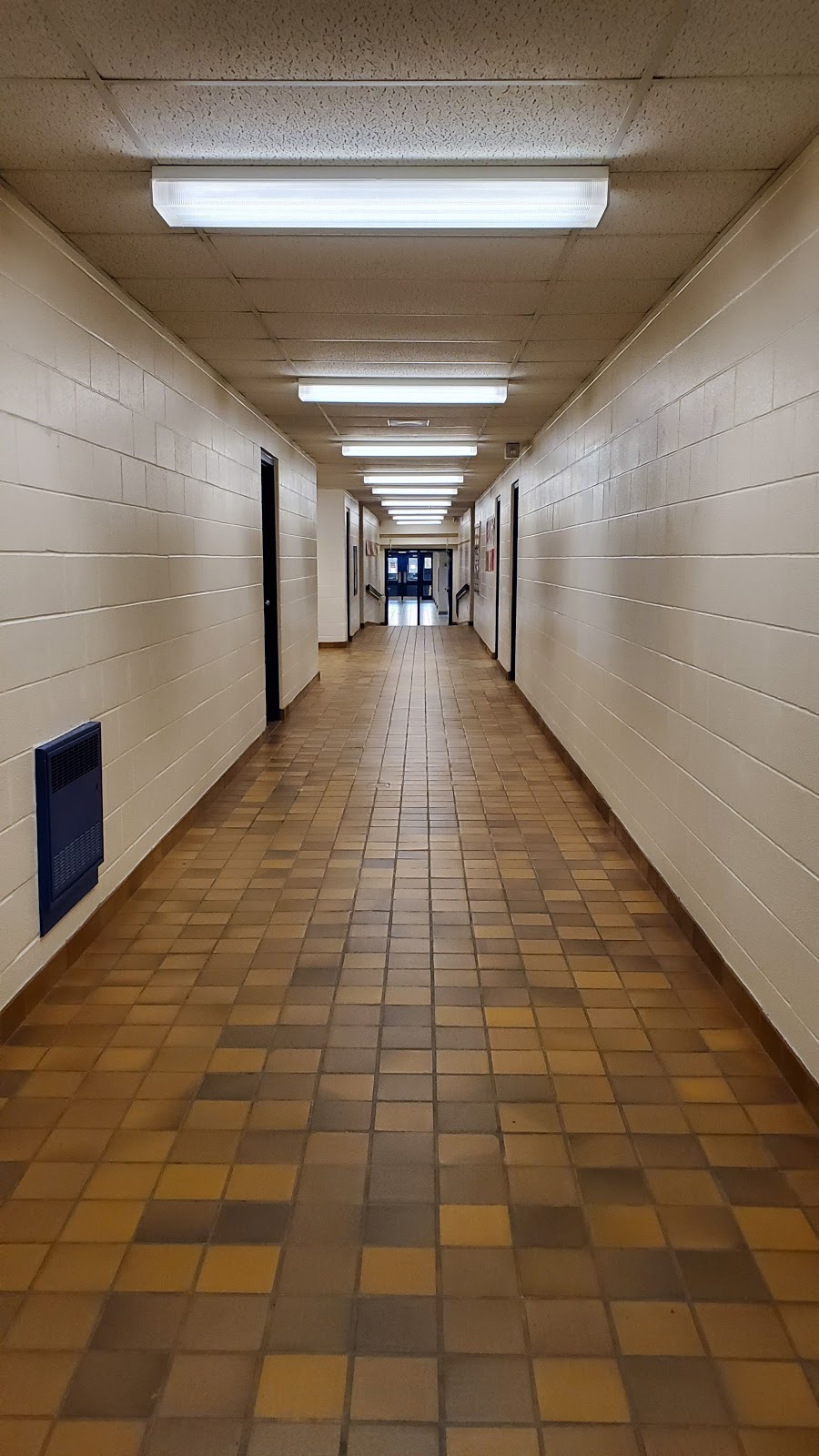 Saint Catherine of Siena Catholic Elementary School | 80 Terra Rd, Woodbridge, ON L4L 3J5, Canada | Phone: (905) 851-8162