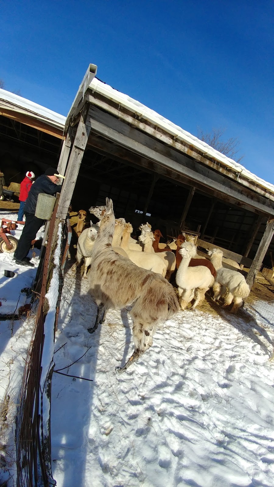 Stone Spindle Farm | 367 County Rd 15, Tamworth, ON K0K 3G0, Canada | Phone: (613) 379-2580