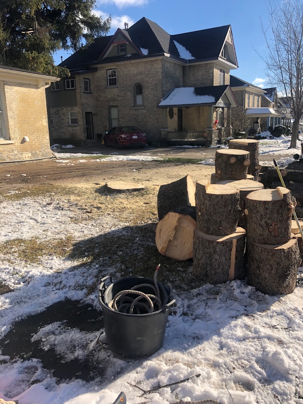 Lanktree Tree Services | 34372 Granton Line, Granton, ON N0M 1V0, Canada | Phone: (519) 281-1803