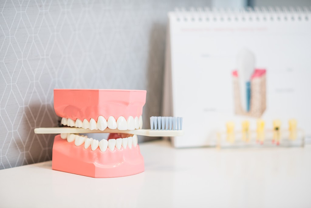 Mimico Creek Dental | 2198 Lake Shore Blvd W, Etobicoke, ON M8V 0E3, Canada | Phone: (416) 259-0020
