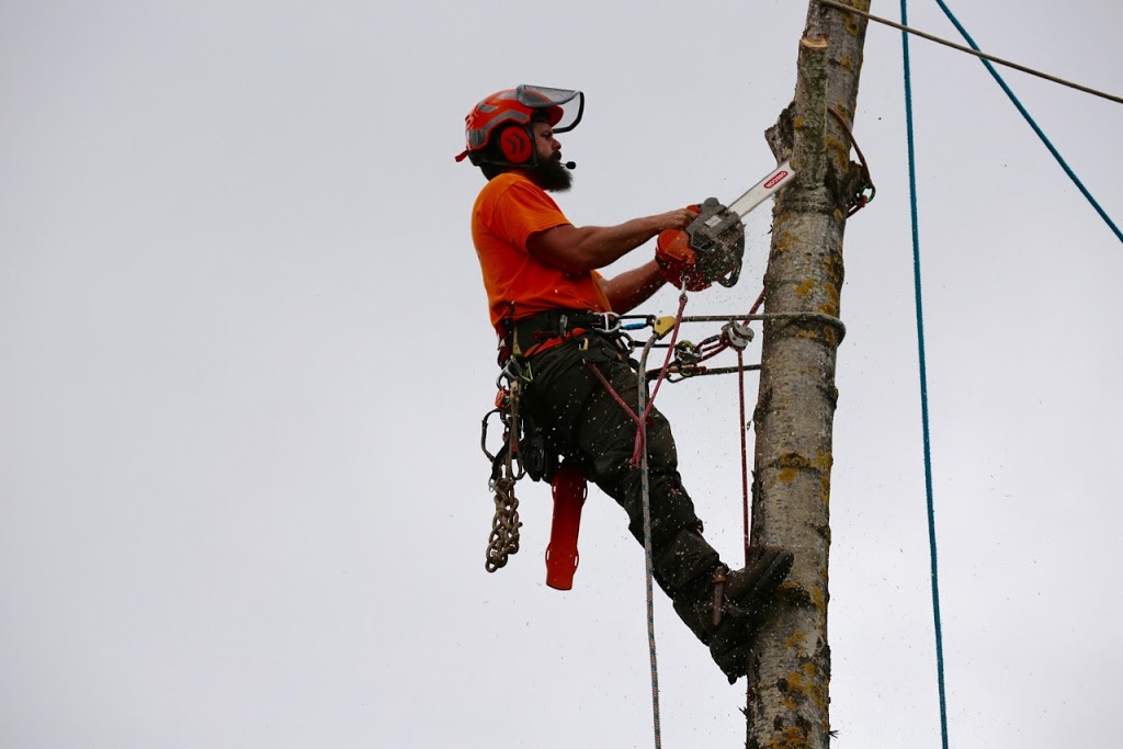 Fields Tree Service Inc. | 34351 Harris Rd, Abbotsford, BC V3G 1R8, Canada | Phone: (778) 838-9720
