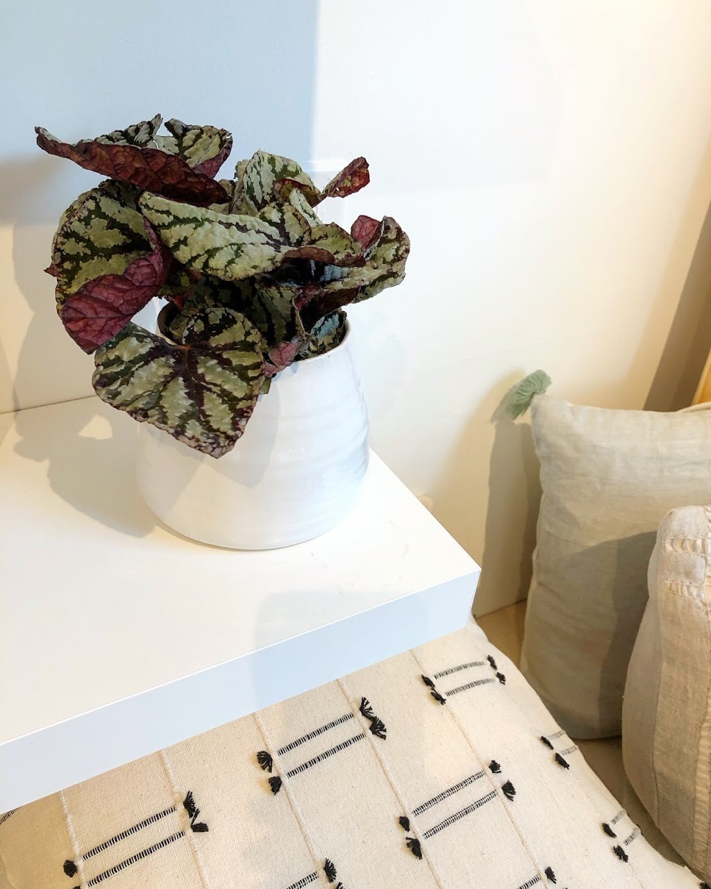 The Hive | 60 Pine St, Collingwood, ON L9Y 2N7, Canada | Phone: (705) 230-0488