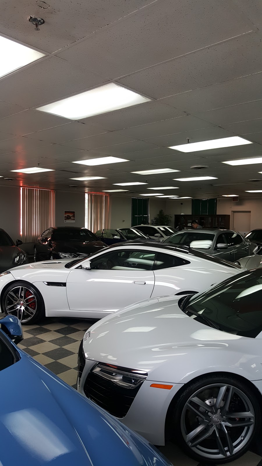 Venus Fine Cars Inc | 1100 Finch Ave W, North York, ON M3J 2E2, Canada | Phone: (416) 663-3080