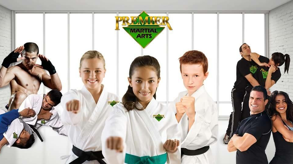 Premier Martial Arts | 71 Charing Cross St, Brantford, ON N3R 2H4, Canada | Phone: (519) 304-6777