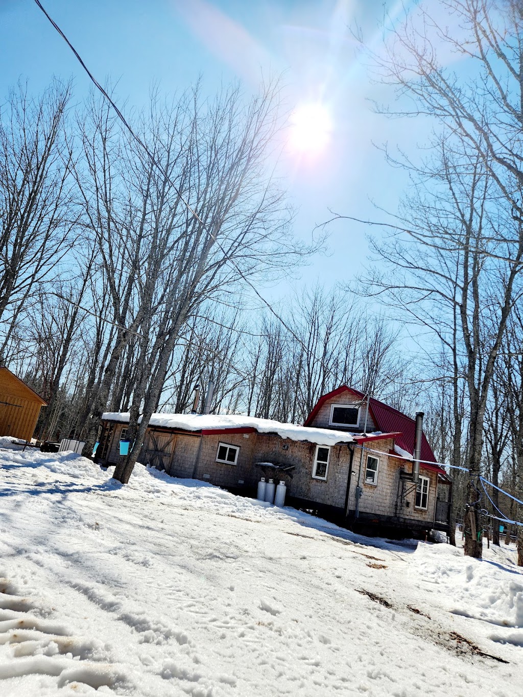 Produits d'érable Château Scoudouc Maple Products 2858 NB132