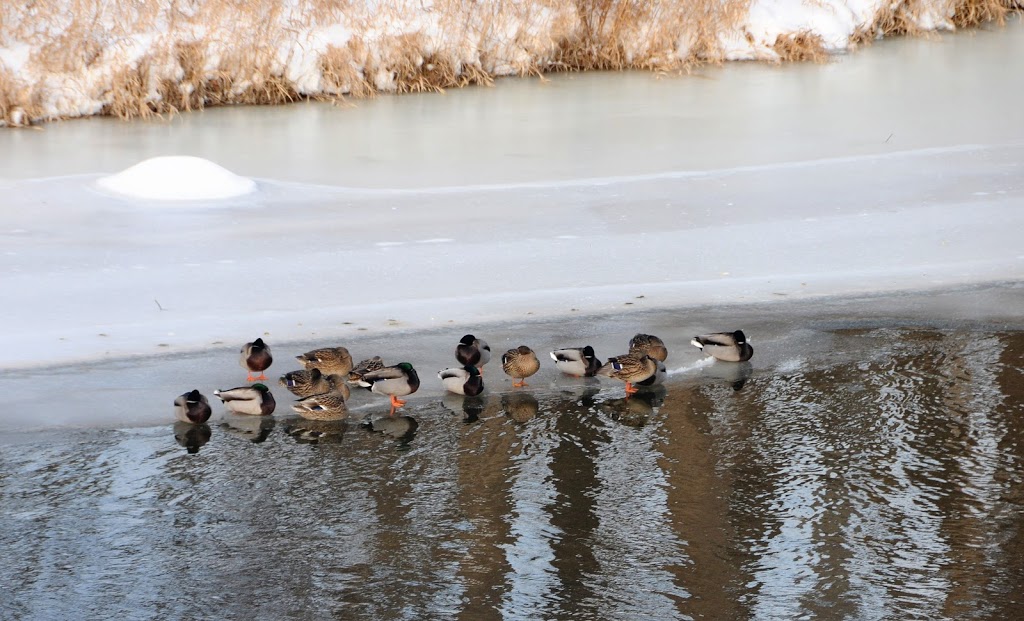 Riverview Park | Streetsville, Mississauga, ON L5N, Canada