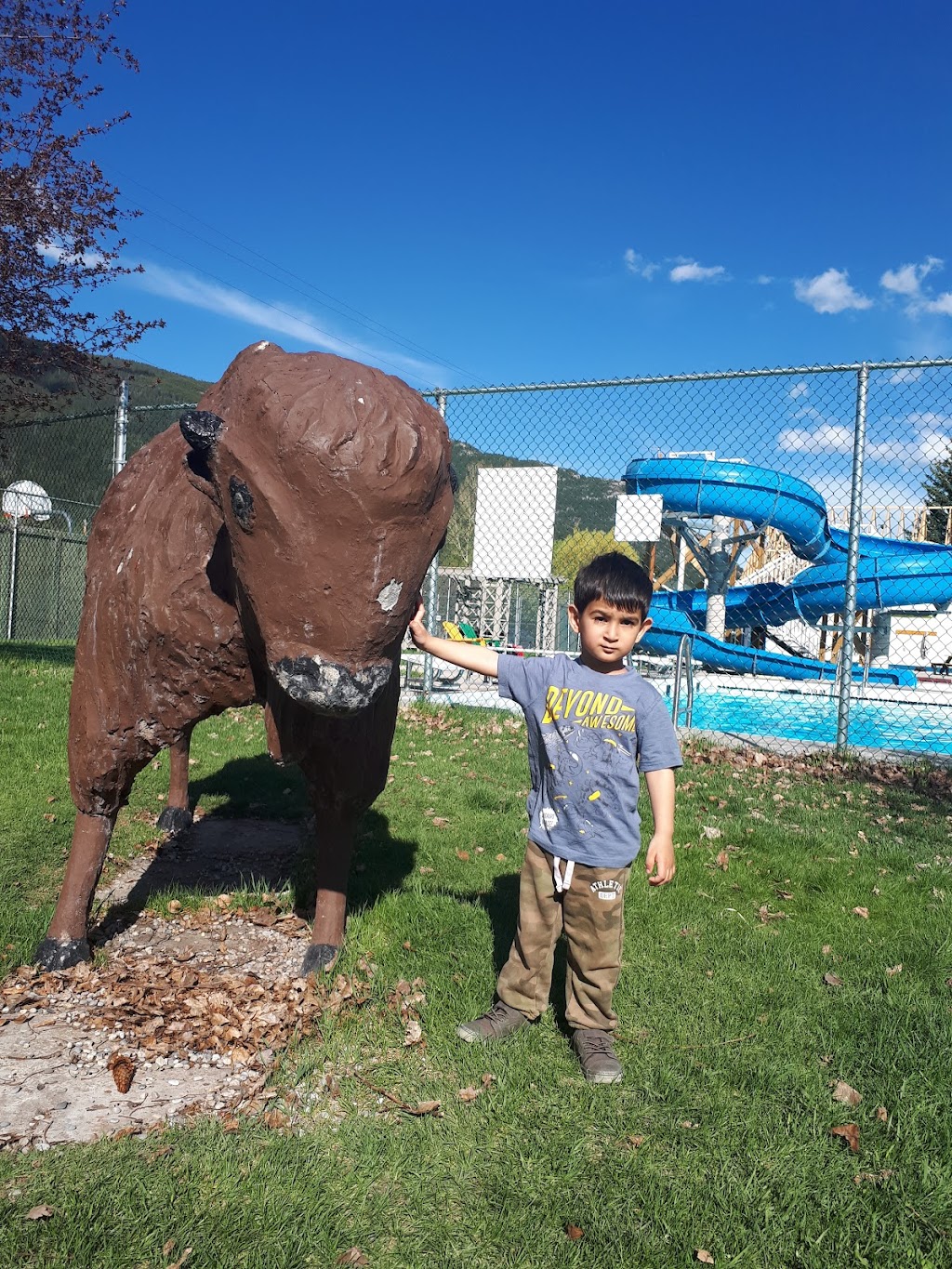 Blairmore Lions Park | 11913 20 Ave, Blairmore, AB T0K 0E0, Canada | Phone: (403) 562-8643