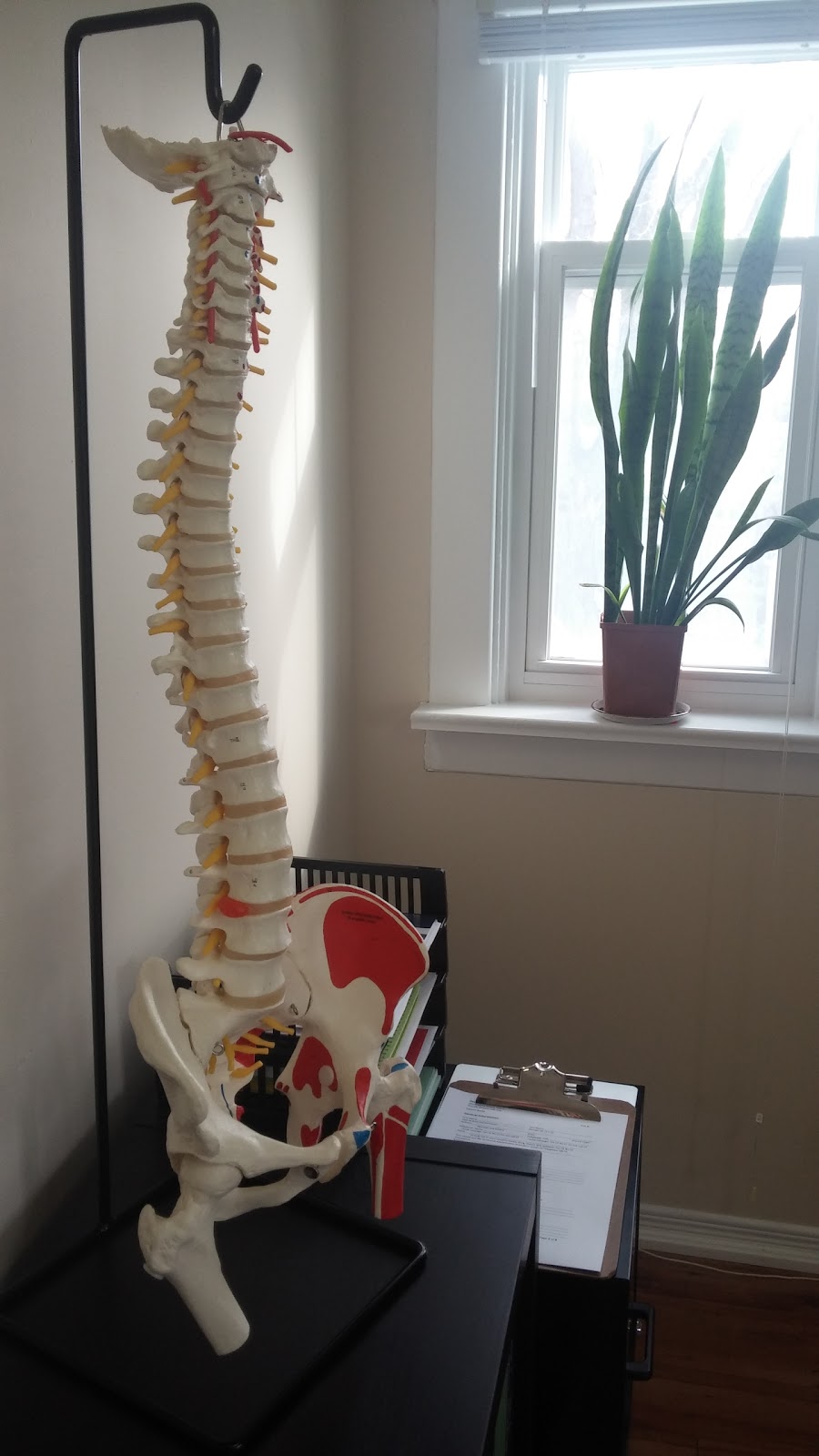 Haptic Health and Chiropractic | 18977 Leslie St, Sharon, ON L0G 1V0, Canada | Phone: (905) 235-6777