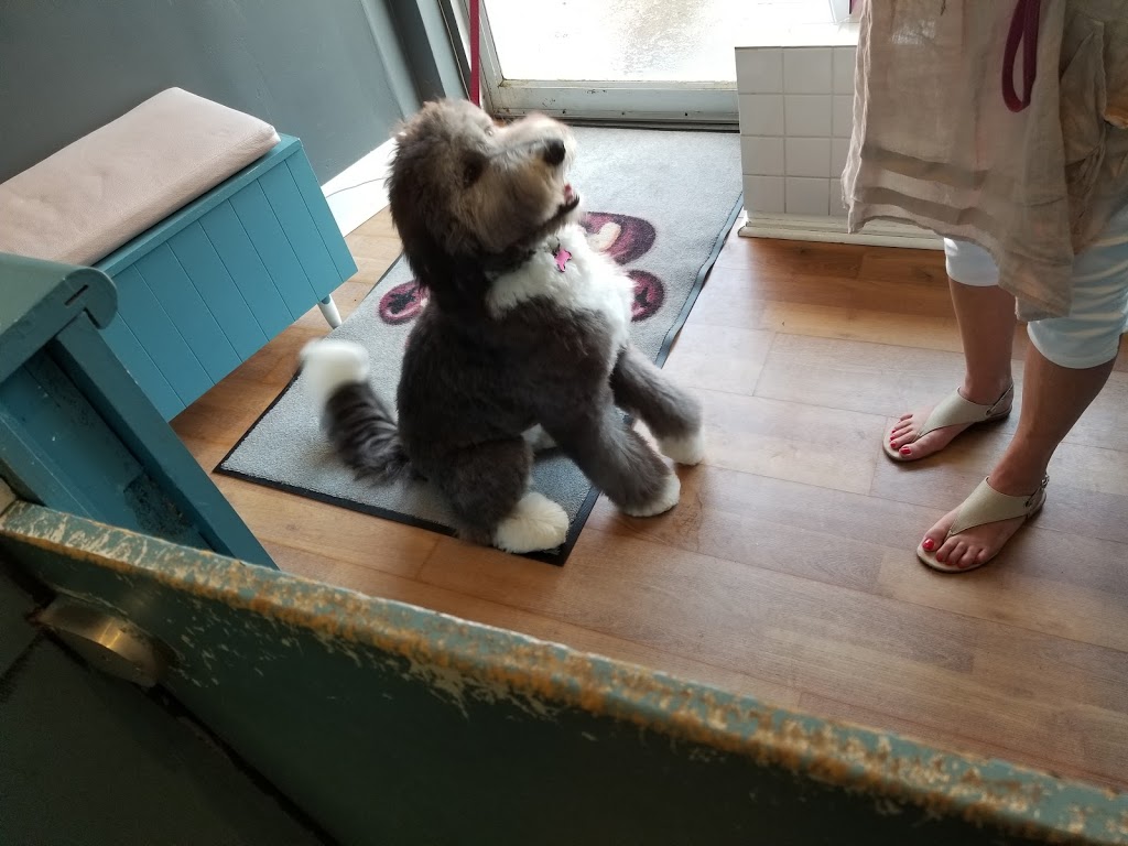 Pooches N Pals Inc. | 356 Lakeshore Rd W, Mississauga, ON L5H 1H3, Canada | Phone: (905) 278-2275