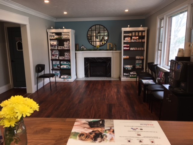 Doncaster Animal Clinic | 99 Henderson Ave, Thornhill, ON L3T 2K9, Canada | Phone: (905) 881-2922